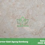 Harga Marmer Kawi Agung Kembang Murah