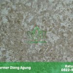 Harga Marmer Dieng Agung Murah